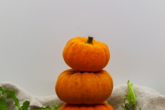 Three orange pumpkins