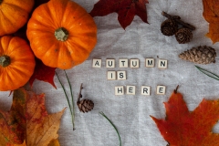 Autumn is here with  orange pumpkins and leaves