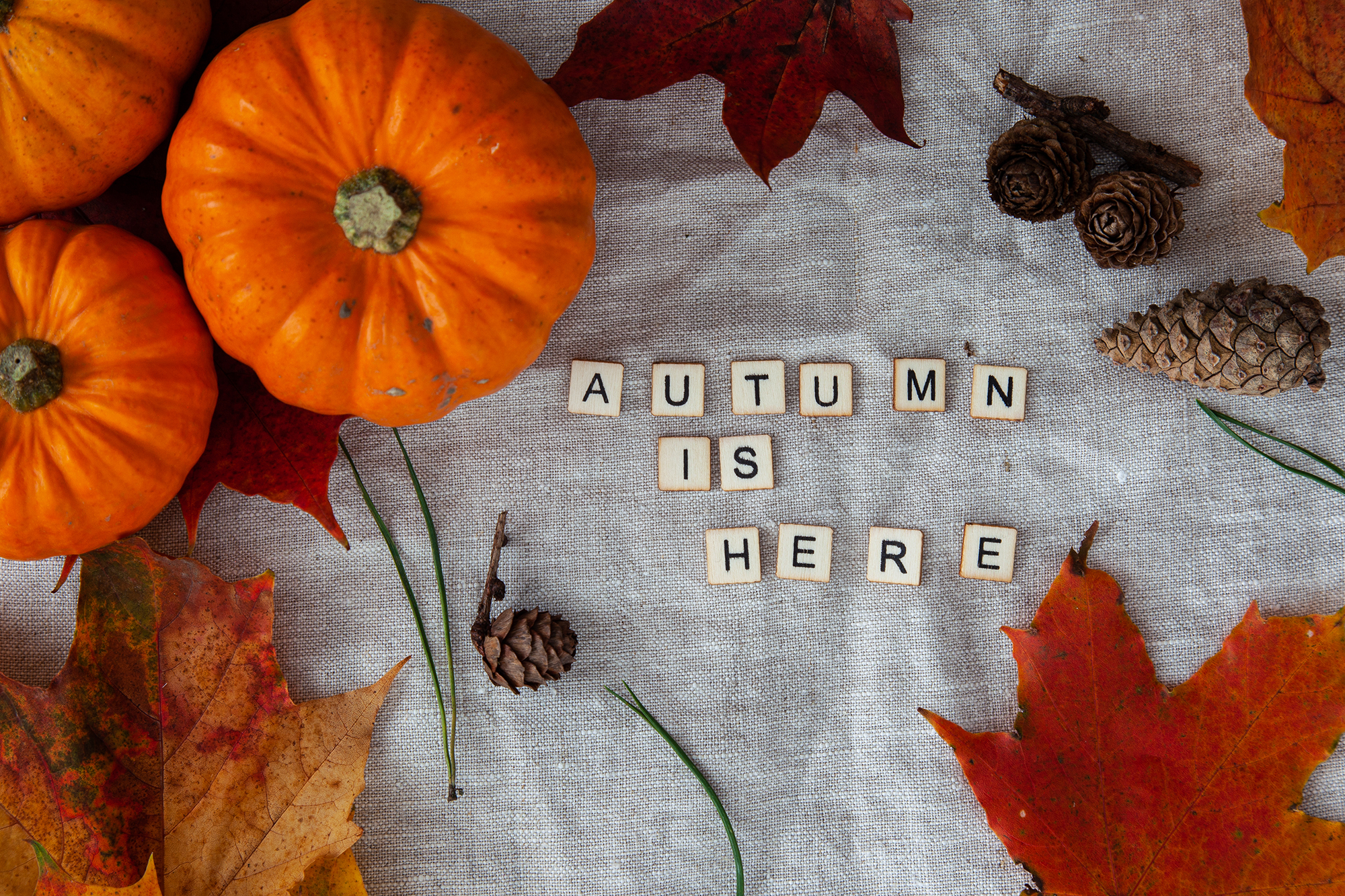 Aurumn is here with leaves and pumpkins